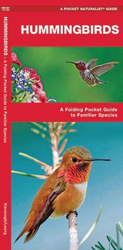 Бумажная книга «Hummingbirds: A Folding Pocket Guide to Familiar Species», авторов Джеймс Кавана, Waterford Press - фото №1