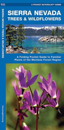 Бумажная книга «Sierra Nevada Trees & Wildflowers: A Folding Pocket Guide to Familiar Species of the Montane Forest Region», авторов Джеймс Кавана, Waterford Press - фото №1
