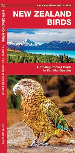 Бумажная книга «New Zealand Birds: A Folding Pocket Guide to Familiar Species», авторов Джеймс Кавана, Waterford Press - фото №1