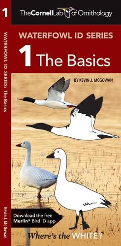 Бумажная книга «The Cornell Lab of Ornithology Waterfowl ID 1 The Basics», авторов Кевин Дж. Макгоуэн, Waterford Press - фото №1