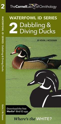 Бумажная книга «The Cornell Lab of Ornithology Waterfowl ID 2 Dabbling & Diving Ducks», авторов Кевин Дж. Макгоуэн, Waterford Press - фото №1