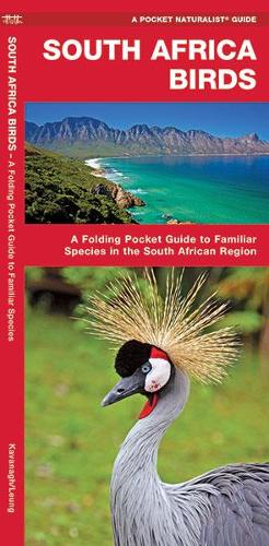 Бумажная книга «South Africa Birds: A Folding Pocket Guide to Familiar Species», авторов Джеймс Кавана, Waterford Press - фото №1