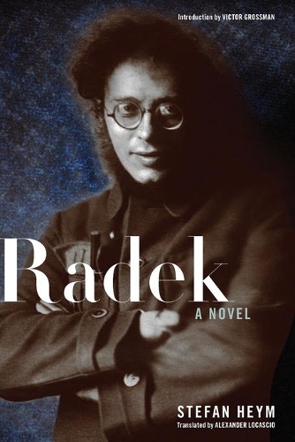 Паперова книга «Radek», автор Стефан Хейм - фото №1