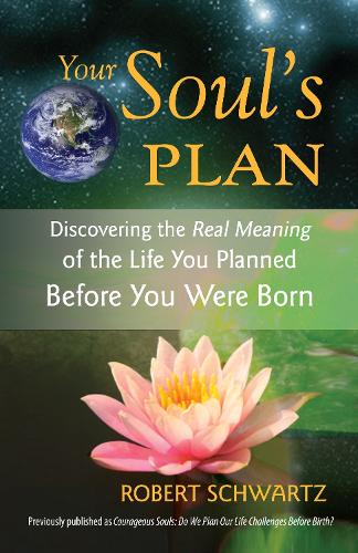 Бумажная книга «Your Soul's Plan: Discovering the Real Meaning of the Life You Planned Before You Were Born», автор Роберт Шварц - фото №1