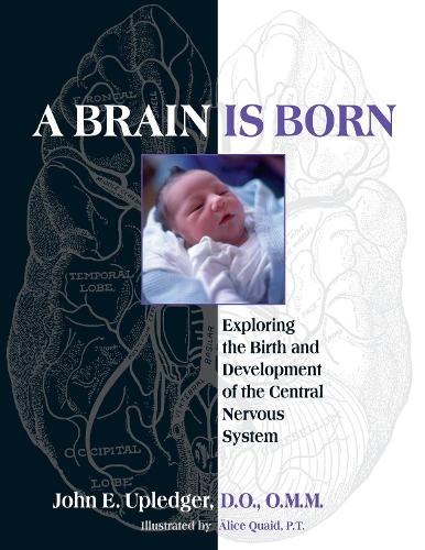 Бумажная книга «A Brain Is Born: Exploring the Birth and Development of the Central Nervous System», автор Джон Э. Апледжер - фото №1
