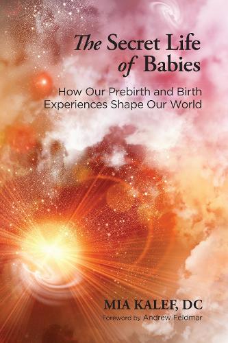 Бумажная книга «The Secret Life of Babies: How Our Prebirth and Birth Experiences Shape Our World», автор Миа Калеф - фото №1