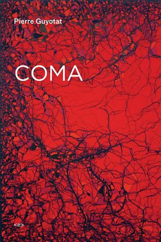 Паперова книга «Coma», автор П'єр Гійота - фото №1