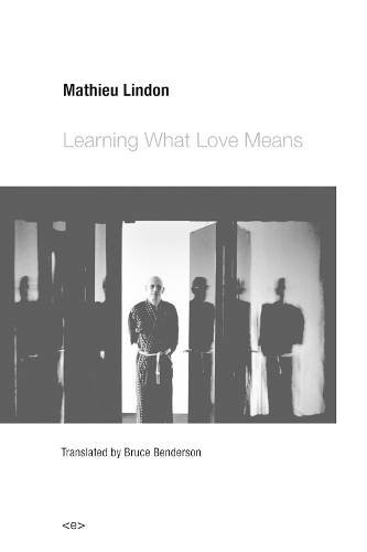 Паперова книга «Learning What Love Means», автор Матьє Ліндон - фото №1