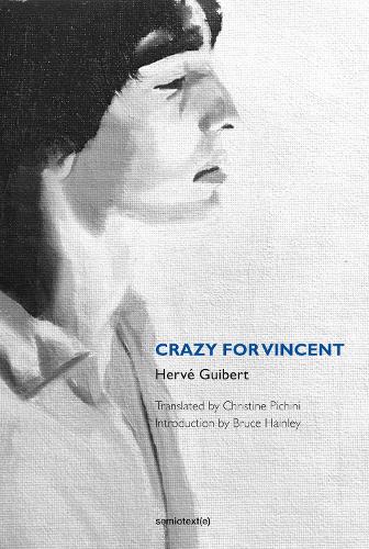 Паперова книга «Crazy for Vincent», автор Ерве Гібер - фото №1