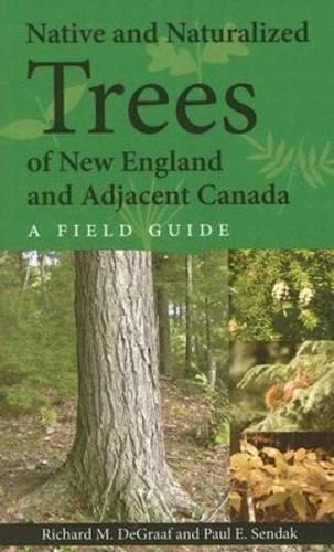 Бумажная книга «Native and Naturalized Trees of New England and Adjacent Canada», авторов Пол Э. Сендак, Ричард ДеГрааф - фото №1