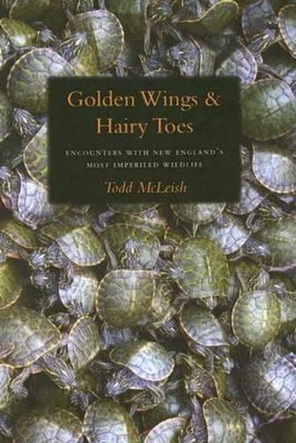 Паперова книга «Golden Wings & Hairy Toes», автор Тодд Макліш - фото №1