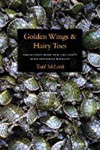 Паперова книга «Golden Wings & Hairy Toes», автор Тодд Макліш - фото №1