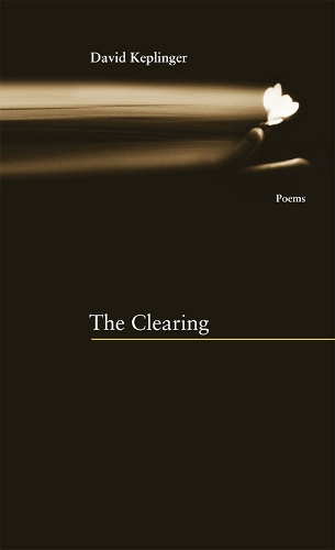Паперова книга «Clearing the Coastline», автор Метью Маккензі - фото №1