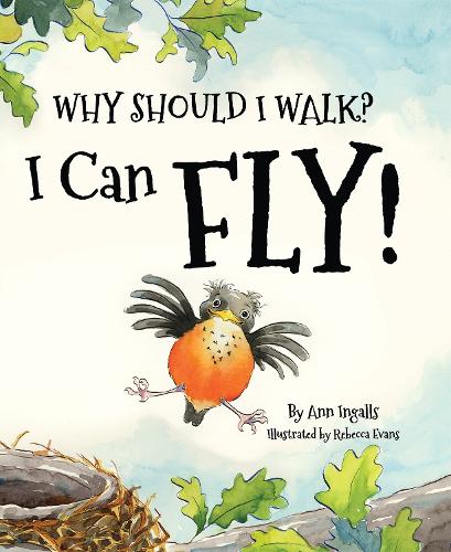 Бумажная книга «Why Should I Walk? I Can Fly!», автор Энн Ингаллс - фото №1