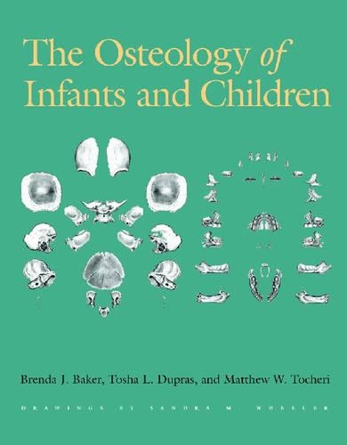Бумажная книга «The Osteology of Infants and Children», авторов Бренда Дж. Бейкер, Мэтью В. Точери, Тоша Л. Дюпрас - фото №1