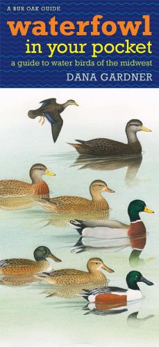 Бумажная книга «Waterfowl in Your Pocket: A Guide to Water Birds of the Midwest», автор Дана Гарднер - фото №1