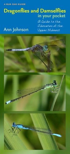 Бумажная книга «Dragonflies and Damselflies in Your Pocket: A Guide to the Odonates of the Upper Midwest», автор Энн Джонсон - фото №1