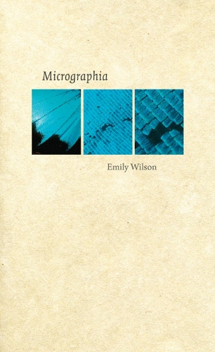 Паперова книга «Micrographia», автор Емілі Вілсон - фото №1