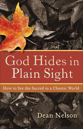 Бумажная книга «God Hides In Plain Sight», автор Д. Нельсон - фото №1