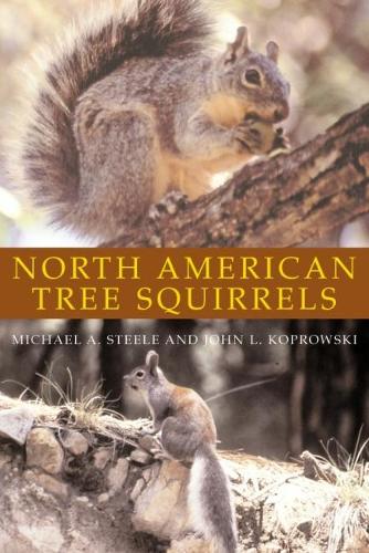 Бумажная книга «North American Tree Squirrels», авторов Джон Л. Копровский, Майкл А. Стил - фото №1