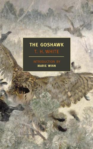 Паперова книга «The Goshawk», авторів Марі Вінн, Т.Х. Уайт - фото №1