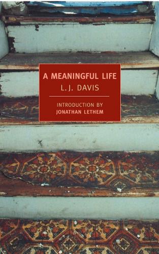 Паперова книга «A Meaningful Life», автор Л. Дж. Девіс - фото №1