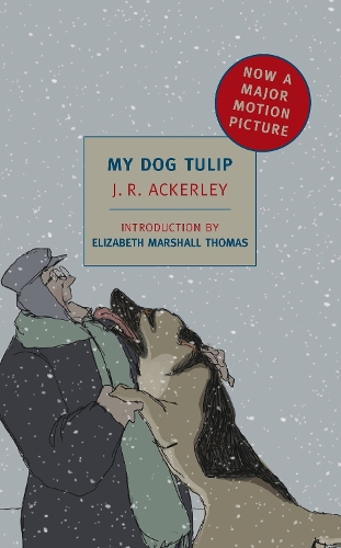 Паперова книга «My Dog Tulip», авторів Елізабет Маршалл Томас, Д. Р. Екерлі, Дж. Р. Акерлі - фото №1