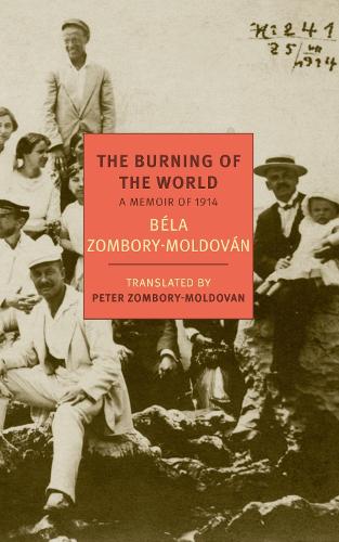Бумажная книга «The Burning Of The World», авторов Бела Зомбори-Молдован, Петер Зомбори-Молдован - фото №1