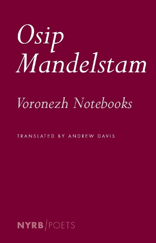 Бумажная книга «The Voronezh Notebooks», автор Эндрю Дэвис - фото №1