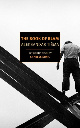 Бумажная книга «The Book Of Blam», автор Майкл Генри Хейм - фото №1