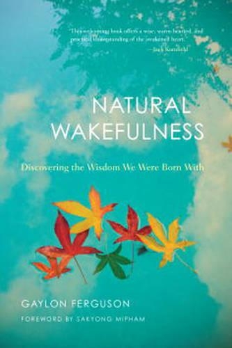 Паперова книга «Natural Wakefulness: Discovering the Wisdom We Were Born With», автор Гейлон Фергюсон - фото №1