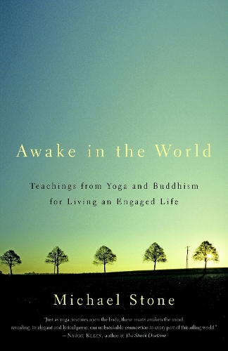 Бумажная книга «Awake in the World: Teachings from Yoga and Buddhism for Living an Engaged Life», автор Майкл Стоун - фото №1