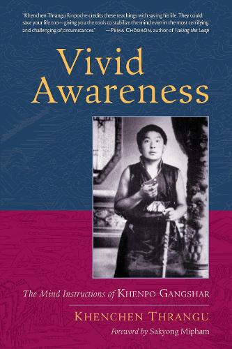 Бумажная книга «Vivid Awareness: The Mind Instructions of Khenpo Gangshar», автор Кхенчен Тхрангу - фото №1