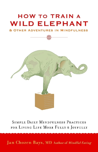 Бумажная книга «How to Train a Wild Elephant: And Other Adventures in Mindfulness», автор Ян Чозен Бэйс - фото №1