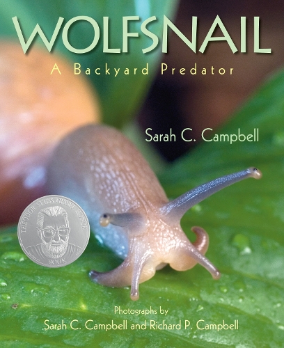 Паперова книга «Wolfsnail: A Backyard Predator», автор Сара Кемпбелл - фото №1