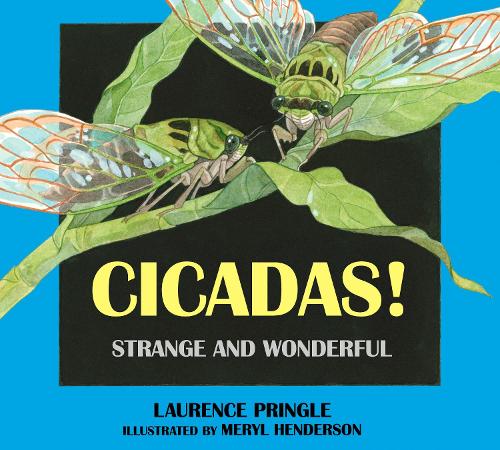 Паперова книга «Cicadas!: Strange and Wonderful», автор Лоуренс Прінгл - фото №1