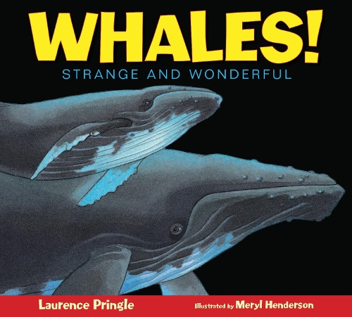 Паперова книга «Whales!», автор Лоуренс Прінгл - фото №1