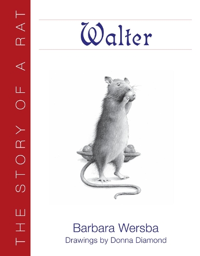 Бумажная книга «Walter: The Story of a Rat», автор Барбара Версба - фото №1