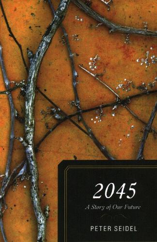 Бумажная книга «2045: A Story of Our Future», автор Питер Зайдель - фото №1