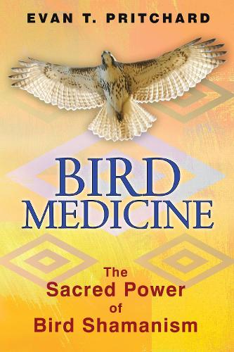 Бумажная книга «Bird Medicine: The Sacred Power of Bird Shamanism», автор Эван Т. Притчард - фото №1