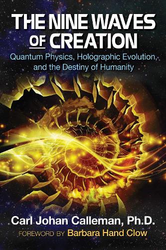 Паперова книга «The Nine Waves of Creation: Quantum Physics, Holographic Evolution, and the Destiny of Humanity», автор Карл Йохан Каллеман - фото №1