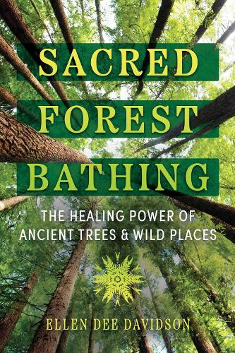 Бумажная книга «Sacred Forest Bathing: The Healing Power of Ancient Trees and Wild Places», автор Эллен Ди Дэвидсон - фото №1