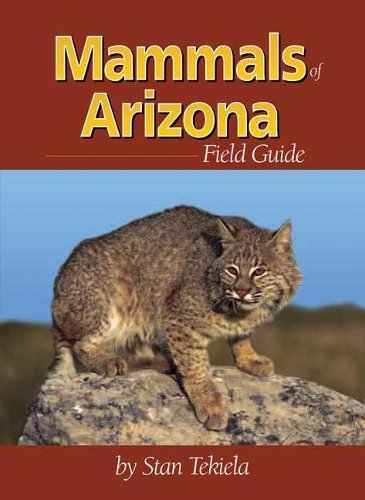 Бумажная книга «Mammals of Arizona Field Guide», автор Стэн Текила - фото №1