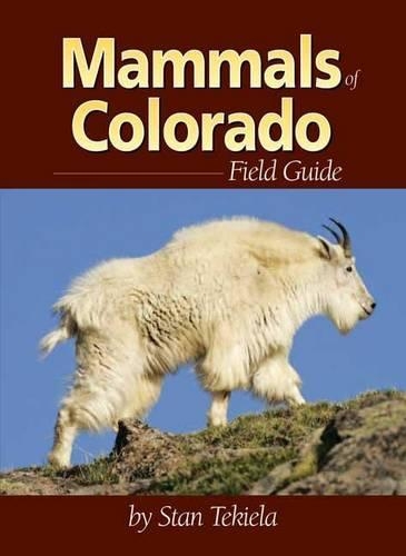 Бумажная книга «Mammals of Colorado Field Guide», автор Стэн Текила - фото №1
