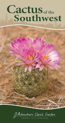 Паперова книга «Cactus of the Southwest: Your Way to Easily Identify Cacti», авторів Нора Бауерс, Рік Бауерс - фото №1