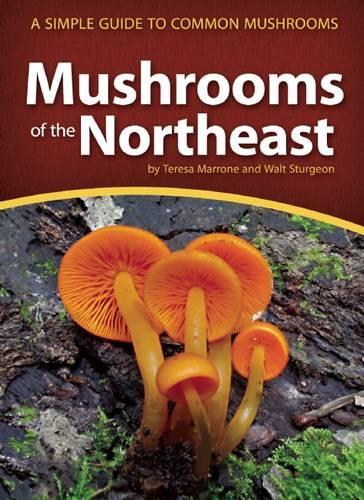 Паперова книга «Mushrooms of the Northeast: A Simple Guide to Common Mushrooms», авторів Тереза Марроне, Волт Стерджен - фото №1