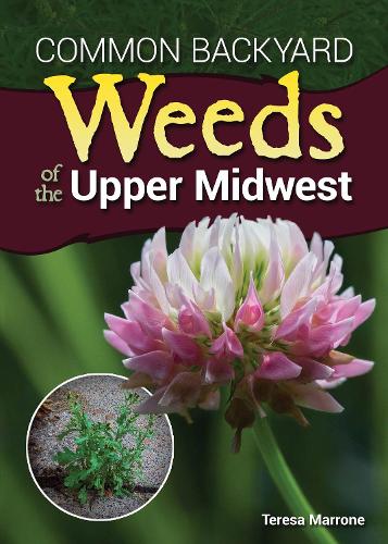 Бумажная книга «Common Backyard Weeds of the Upper Midwest», автор Тереза Марроне - фото №1