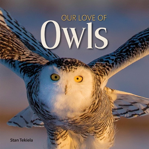 Бумажная книга «Our Love of Owls», автор Стэн Текила - фото №1