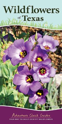 Бумажная книга «Wildflowers of Texas: Your Way to Easily Identify Wildflowers», автор Джордж Оксфорд Миллер - фото №1