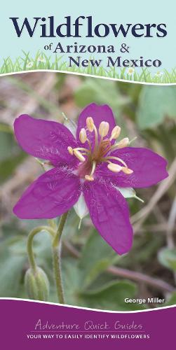 Бумажная книга «Wildflowers of Arizona & New Mexico: Your Way to Easily Identify Wildflowers», автор Джордж Миллер - фото №1